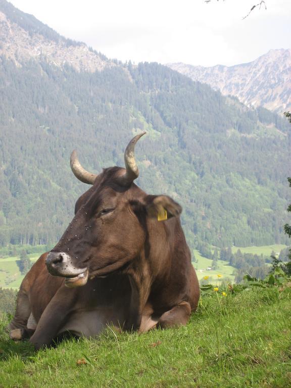 Ferienwohnungen Brunner Fischen im Allgaeu Exteriér fotografie